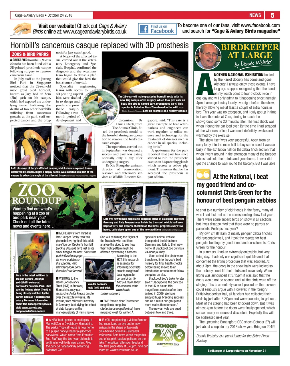 Cage & Aviary Birds Preview Pages