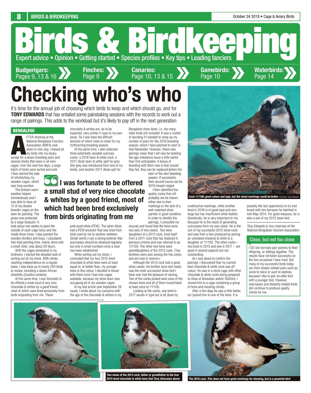 Cage & Aviary Birds Preview Pages