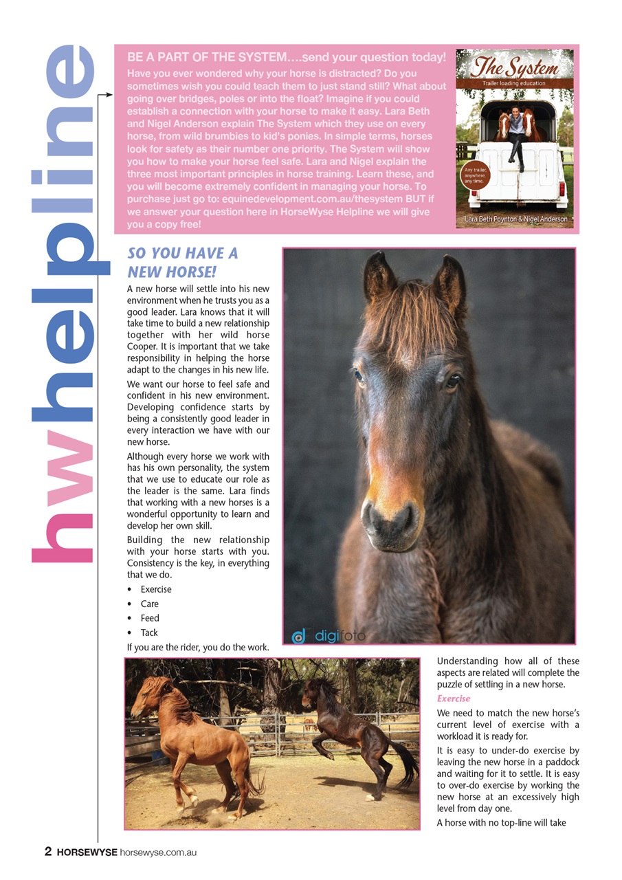 HorseWyse Magazine Preview Pages