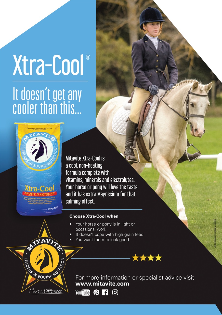 HorseWyse Magazine Preview Pages