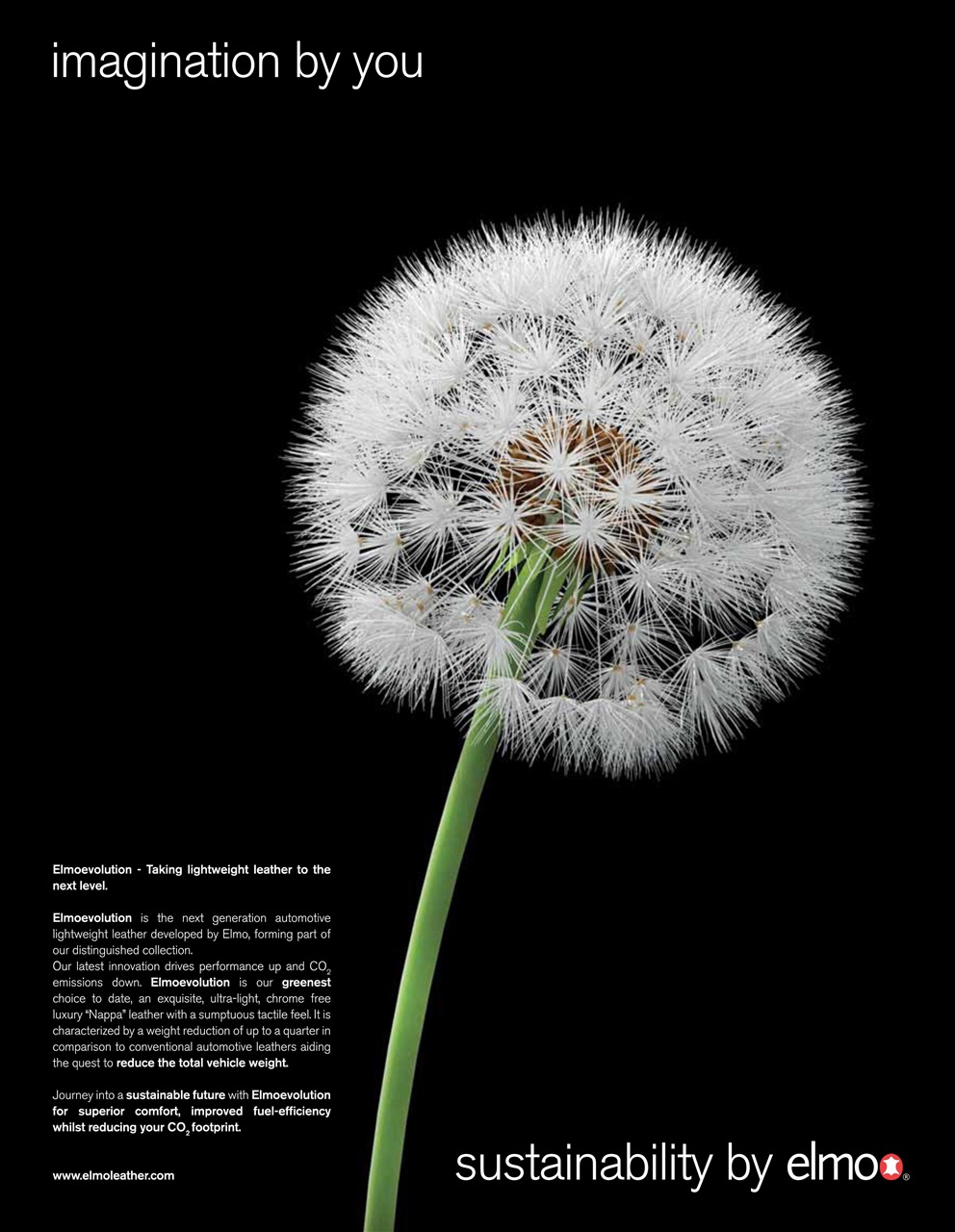 Interior Motives Preview Pages