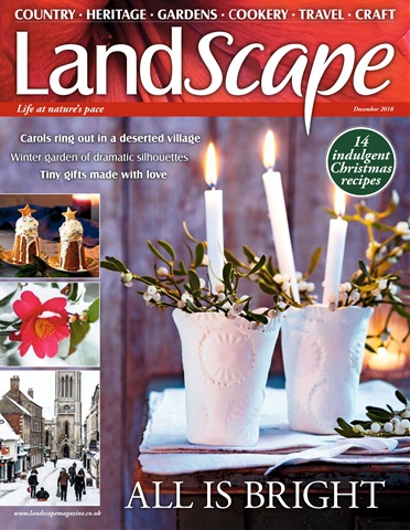 LandScape issue December 2018
