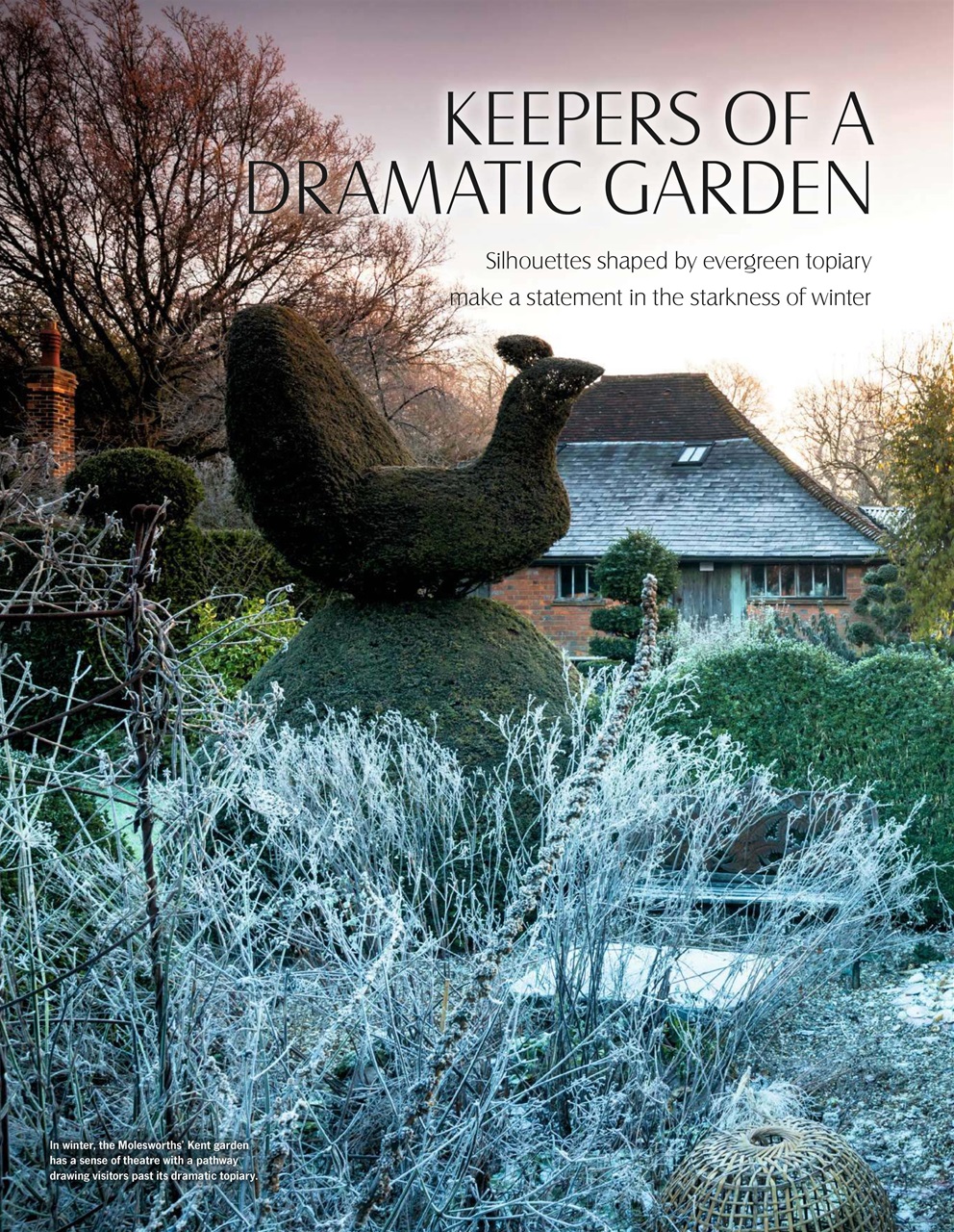 LandScape Preview Pages