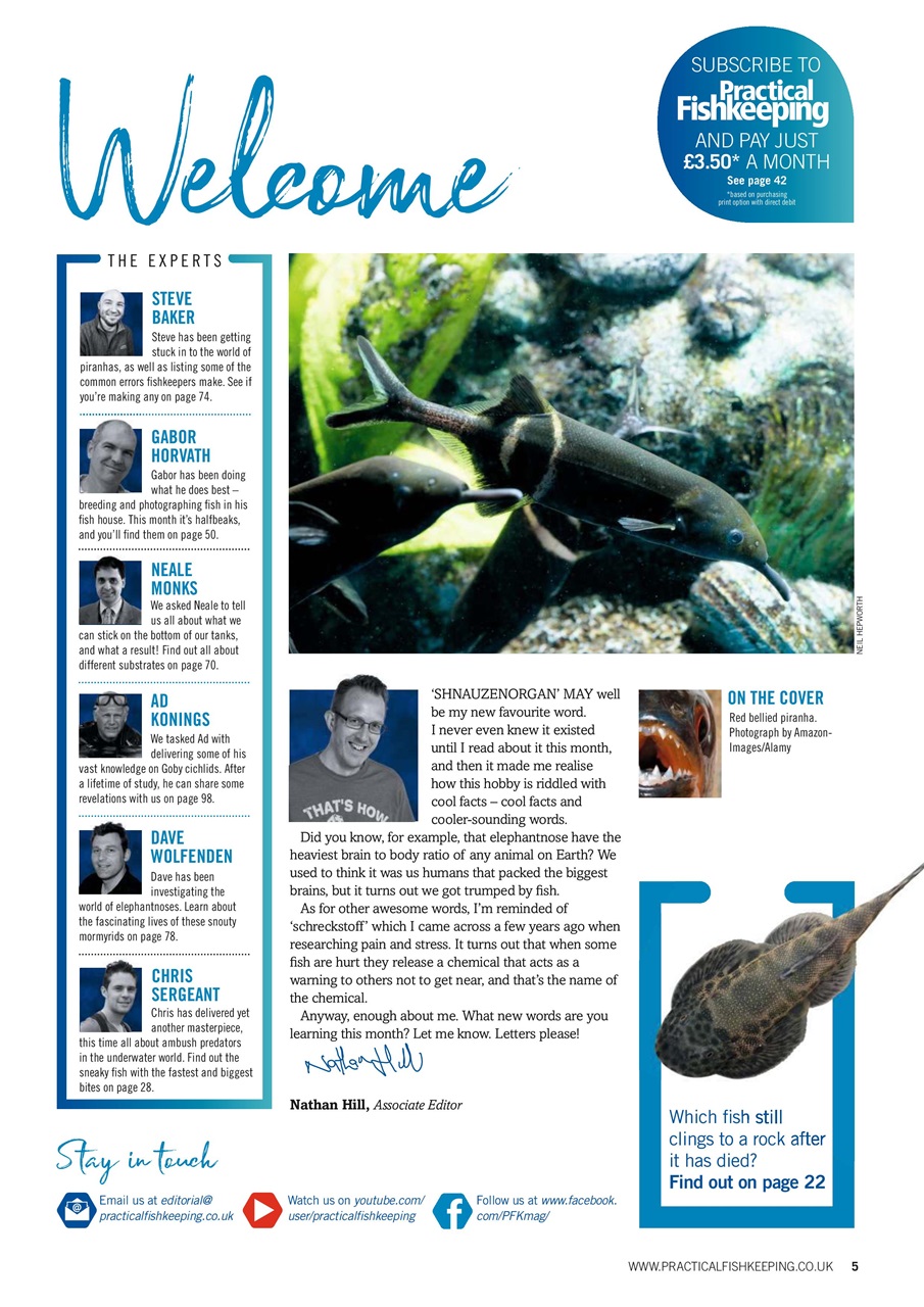 Practical Fishkeeping Preview Pages
