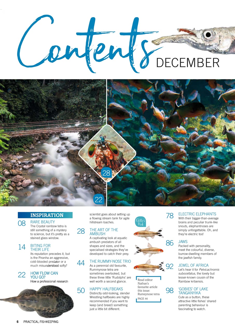 Practical Fishkeeping Preview Pages