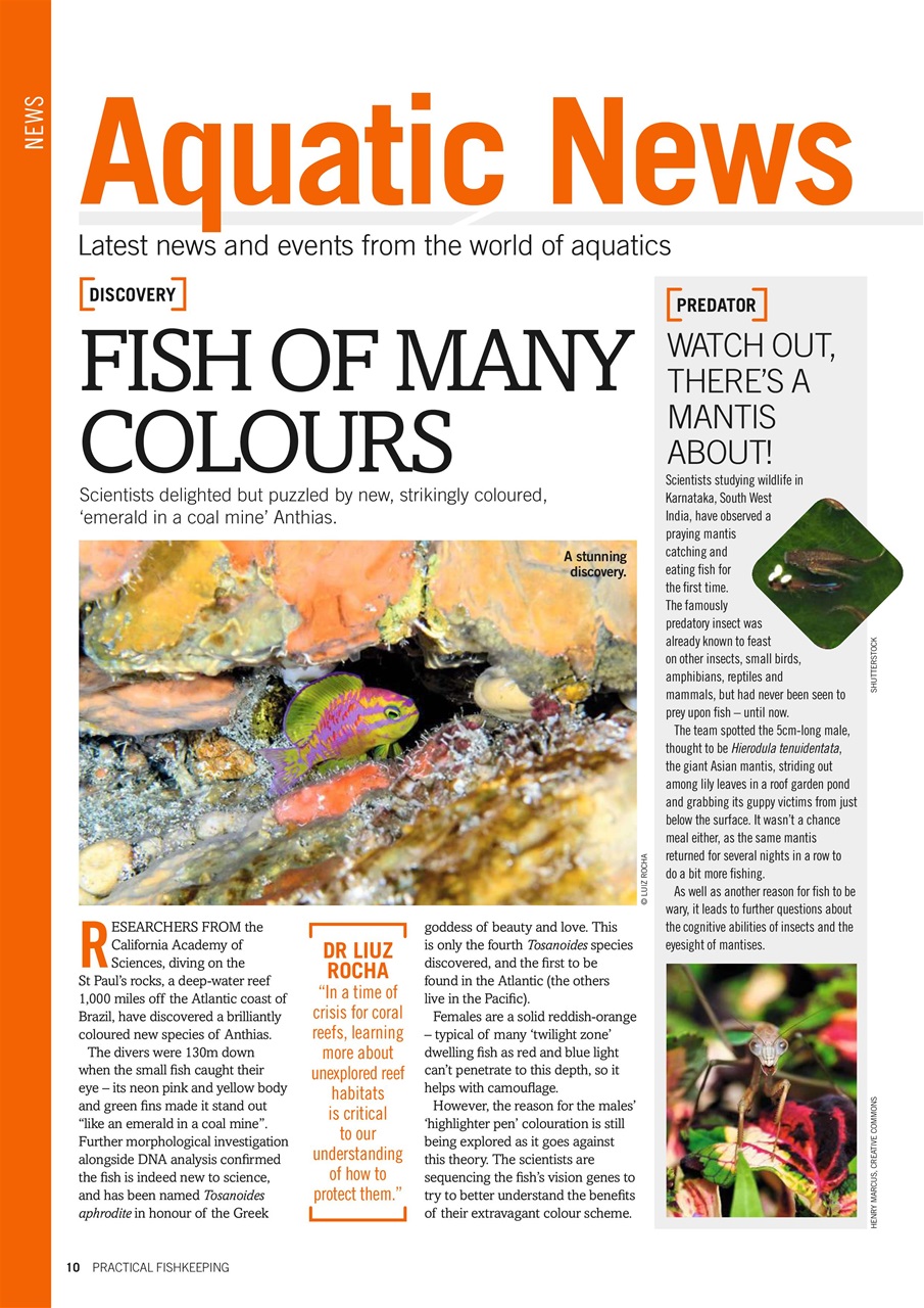 Practical Fishkeeping Preview Pages