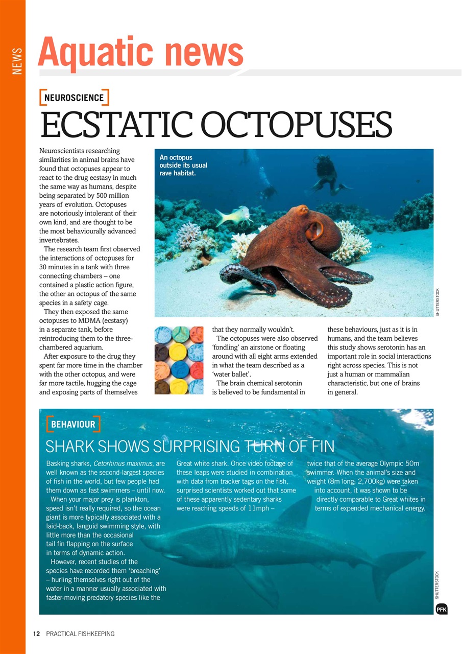 Practical Fishkeeping Preview Pages