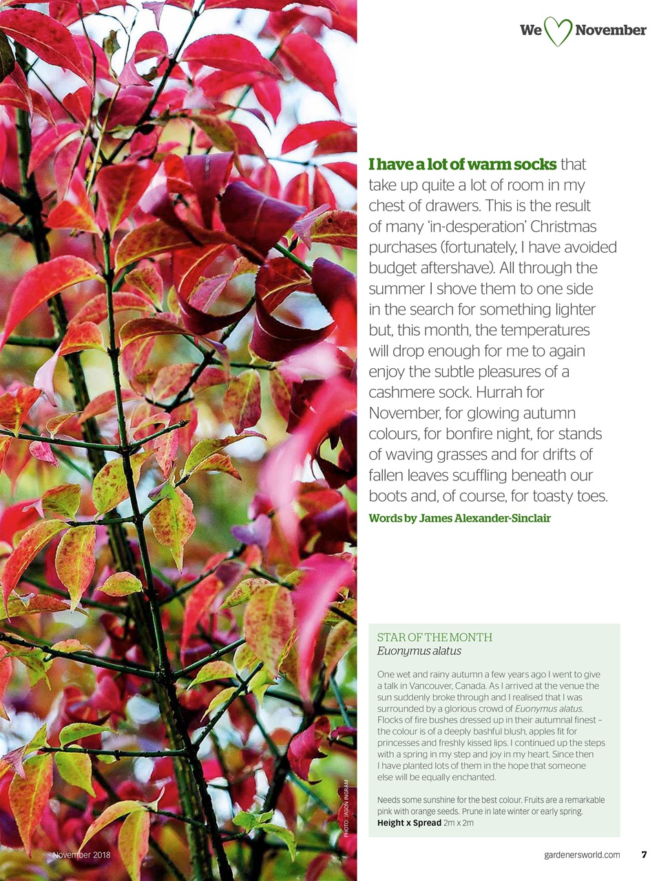 BBC Gardeners’ World Magazine Preview Pages