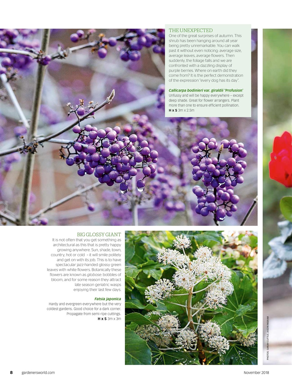 BBC Gardeners’ World Magazine Preview Pages