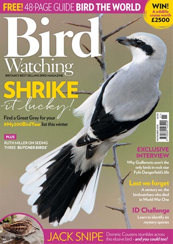 Bird Watching issue November 2018