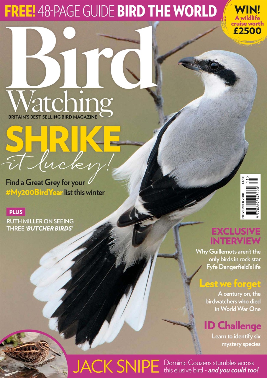 Bird Watching Preview Pages