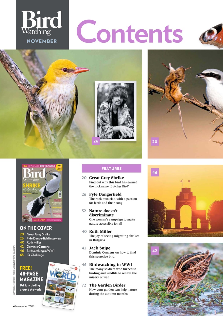 Bird Watching Preview Pages