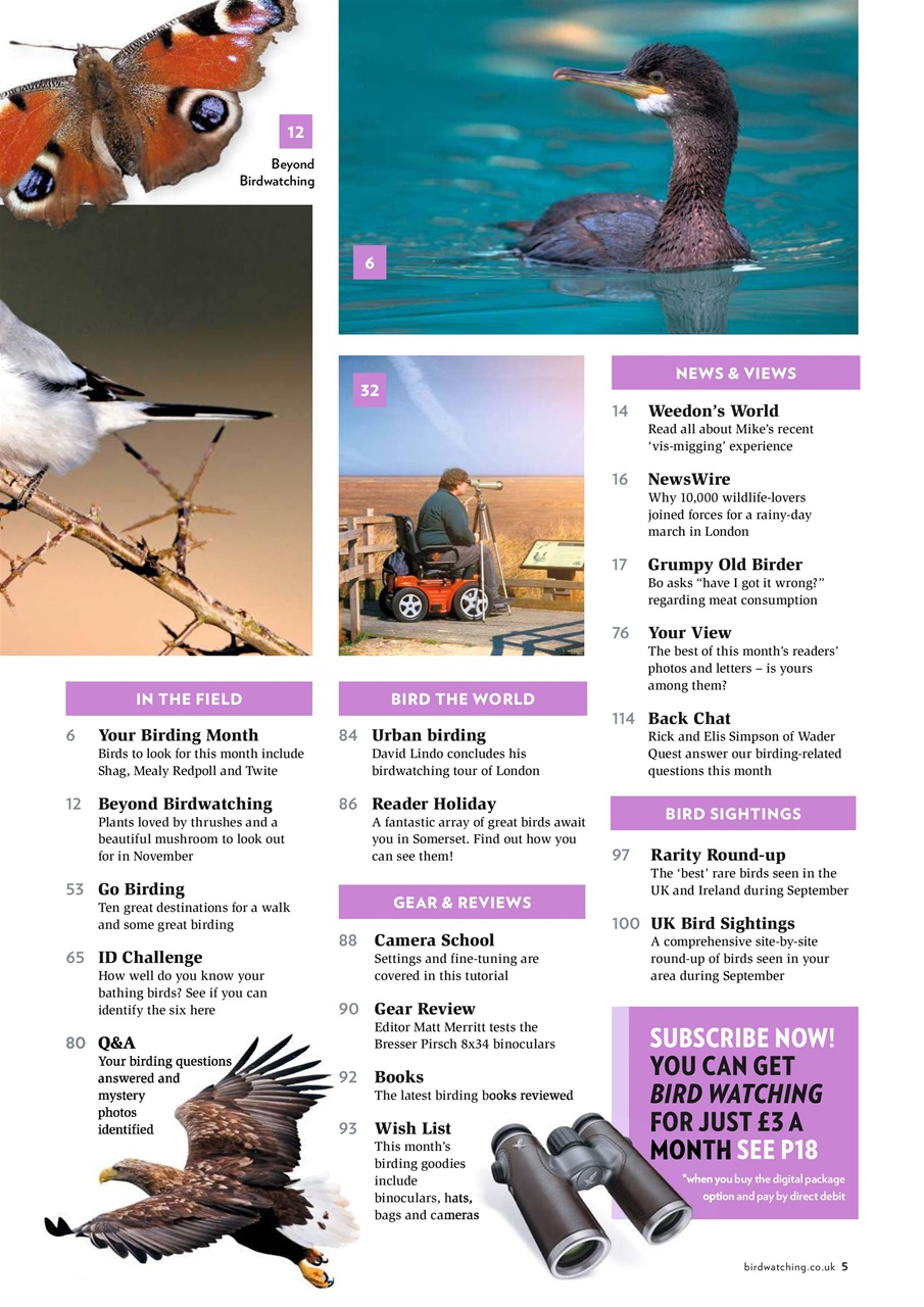 Bird Watching Preview Pages