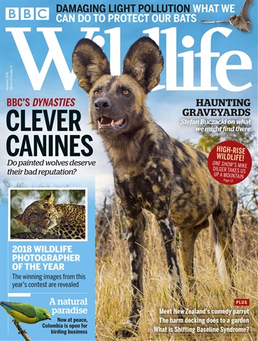 BBC Wildlife Magazine issue November 2018