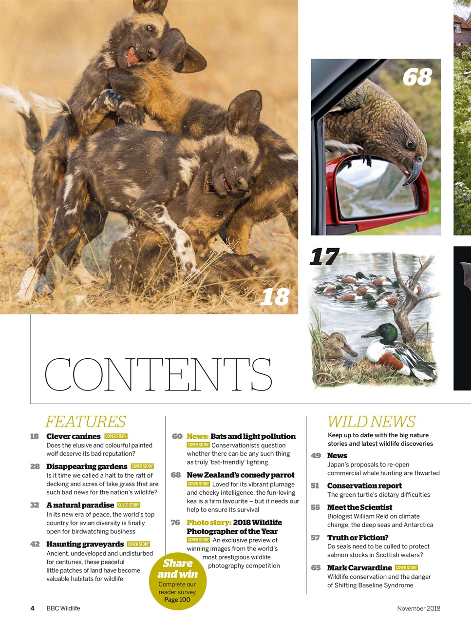 BBC Wildlife Magazine Preview Pages