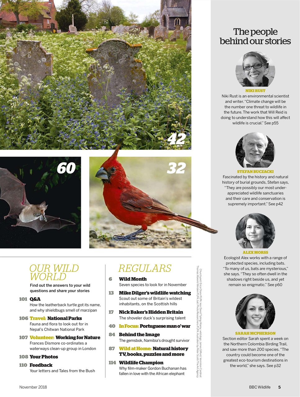 BBC Wildlife Magazine Preview Pages