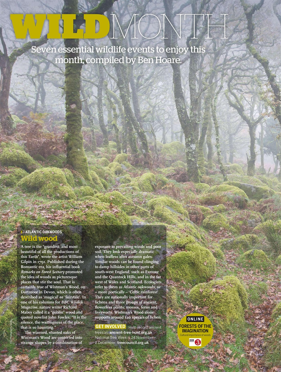 BBC Wildlife Magazine Preview Pages