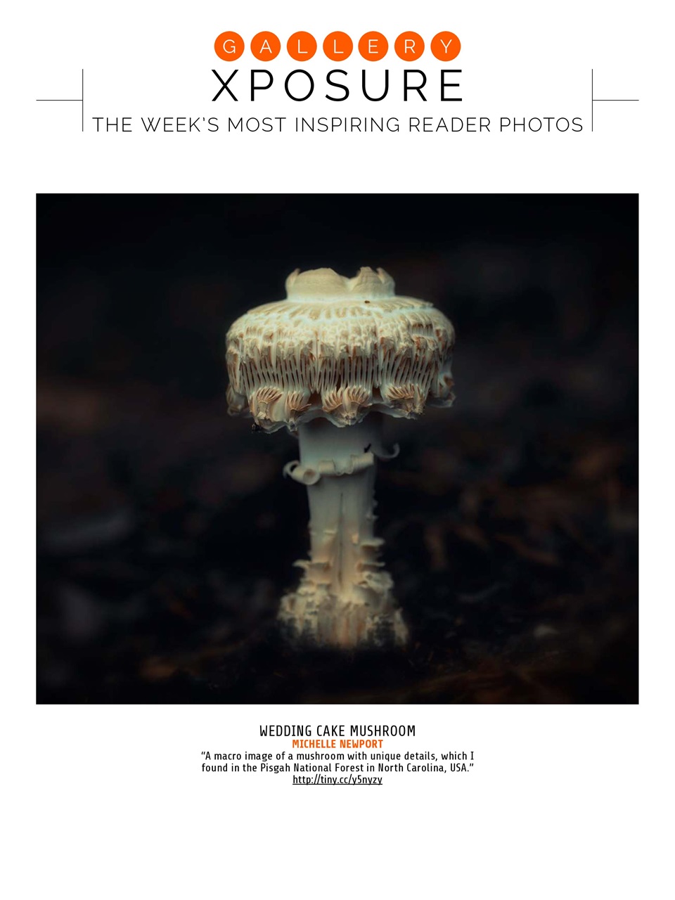 Photography Week Preview Pages
