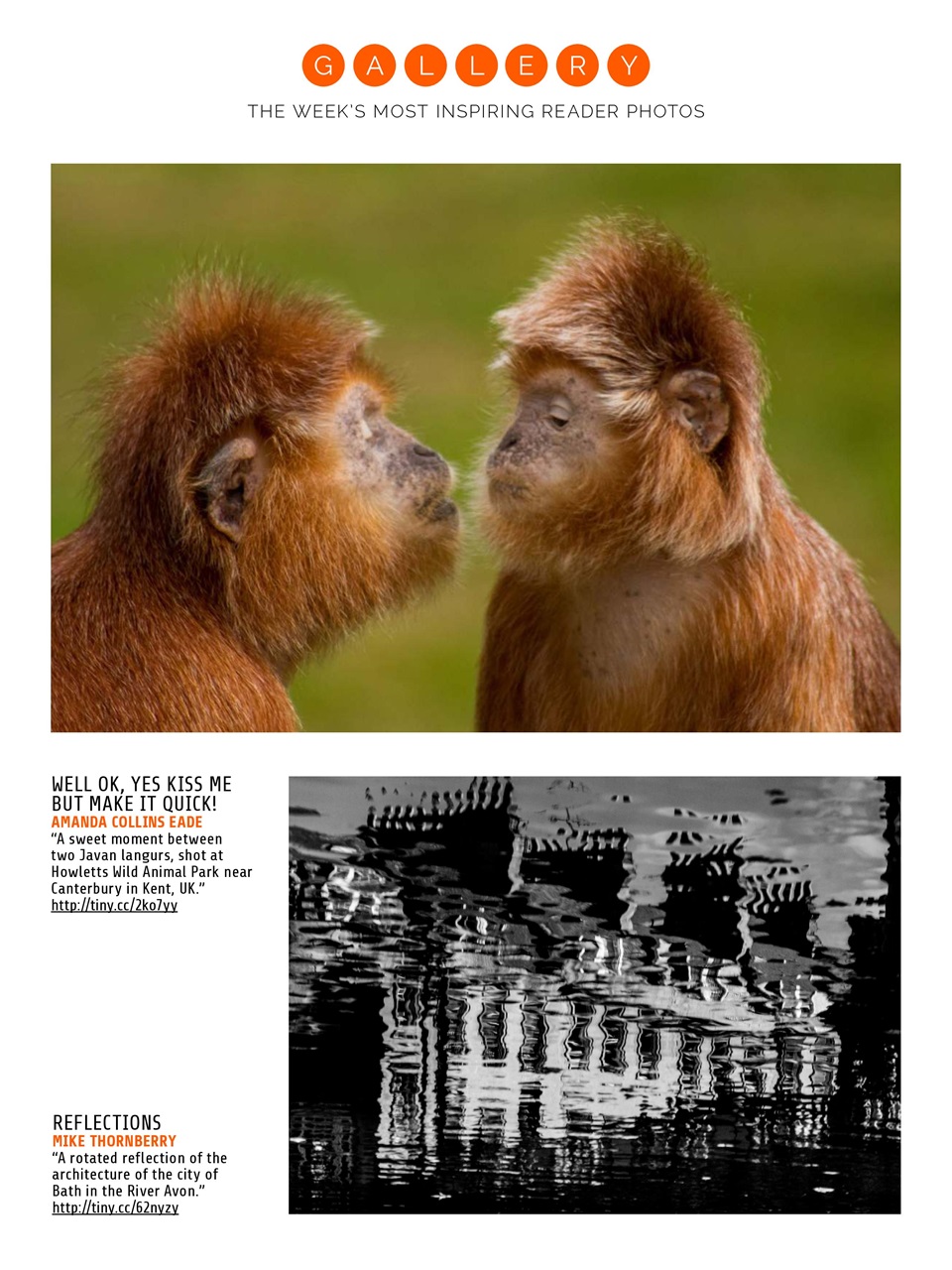 Photography Week Preview Pages