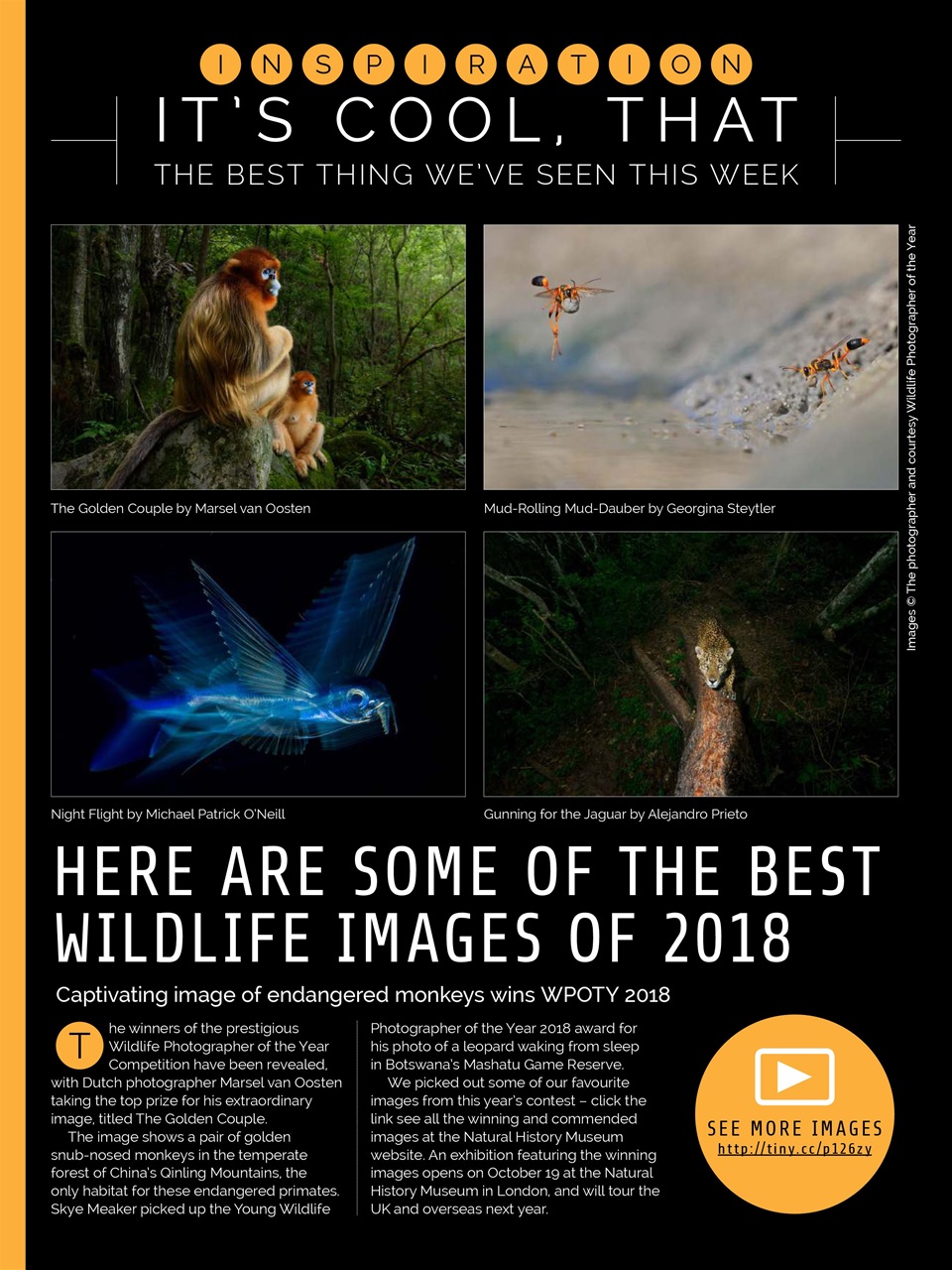 Photography Week Preview Pages