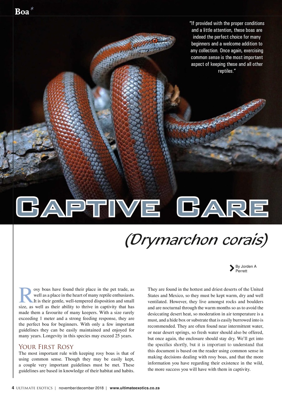 Ultimate Exotics Preview Pages