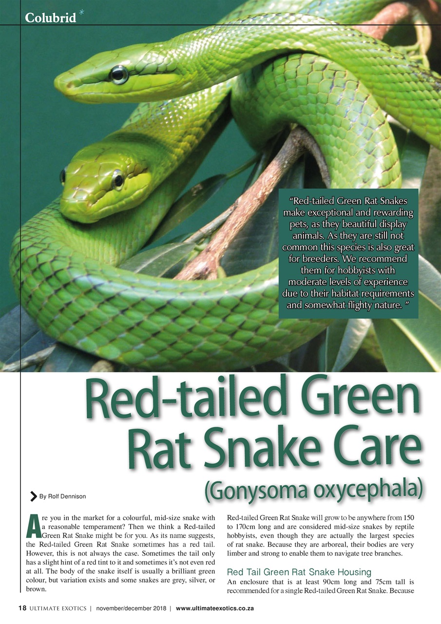 Ultimate Exotics Preview Pages