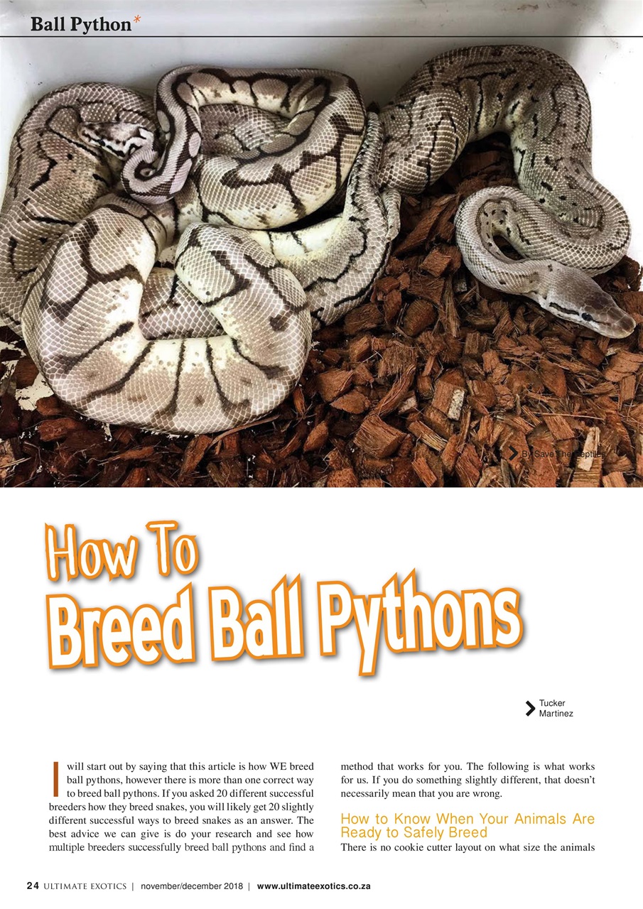 Ultimate Exotics Preview Pages