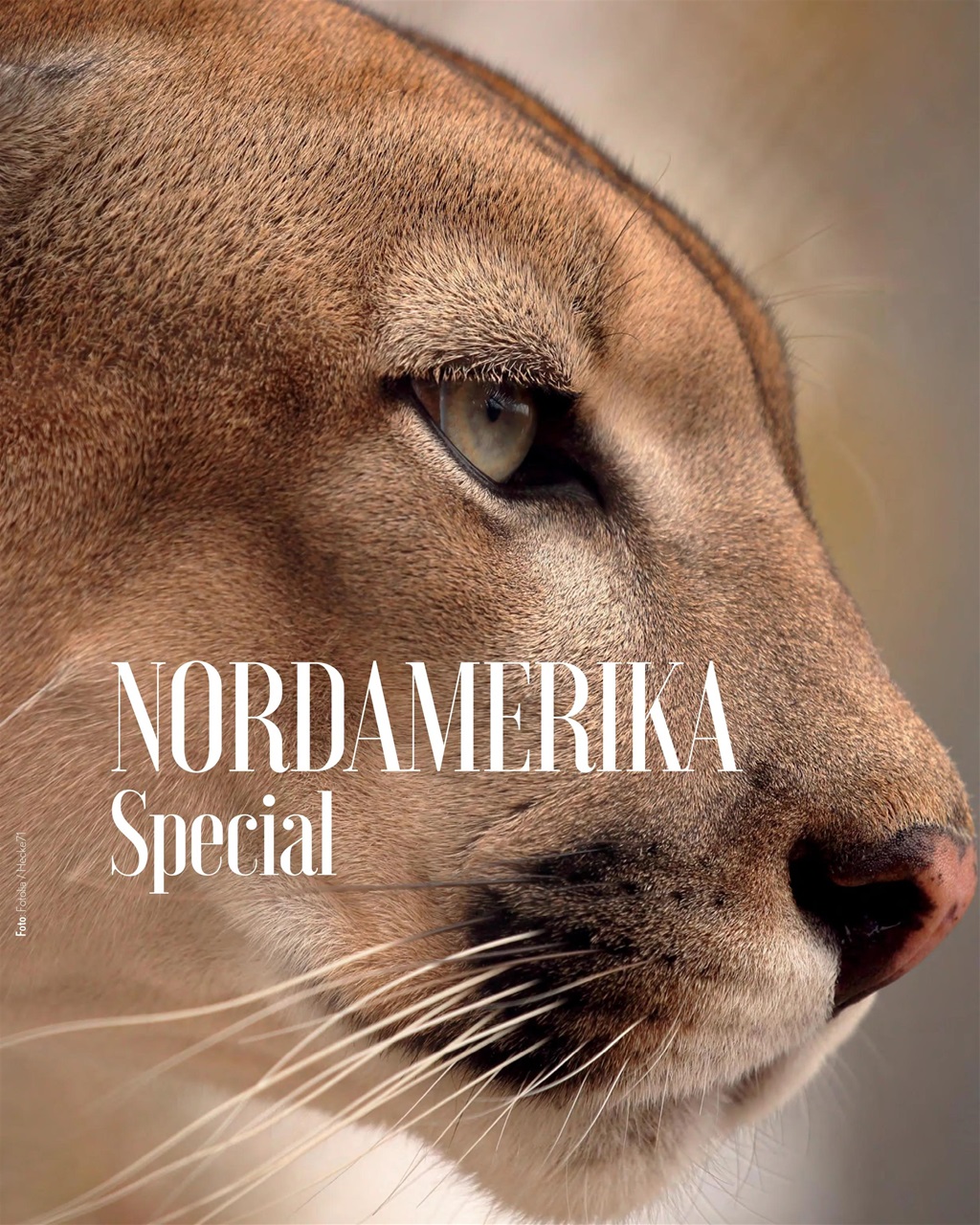 Mate Magazine Preview Pages