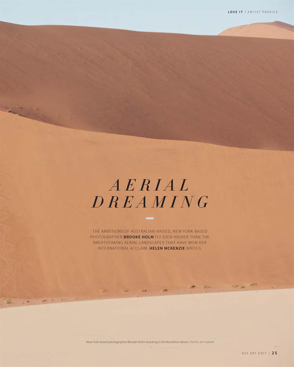 Art Edit Preview Pages