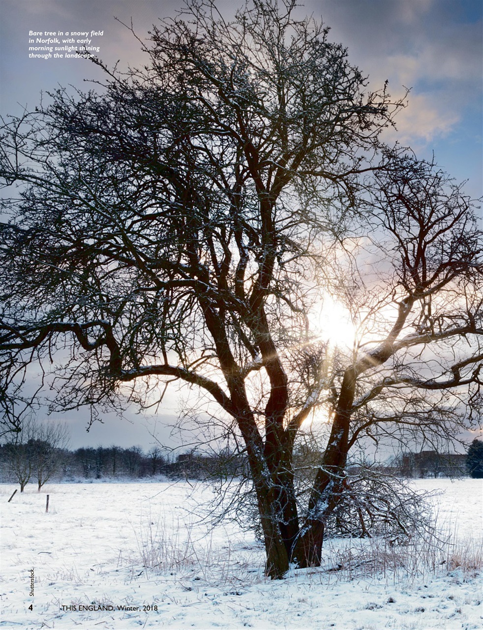 This England Preview Pages