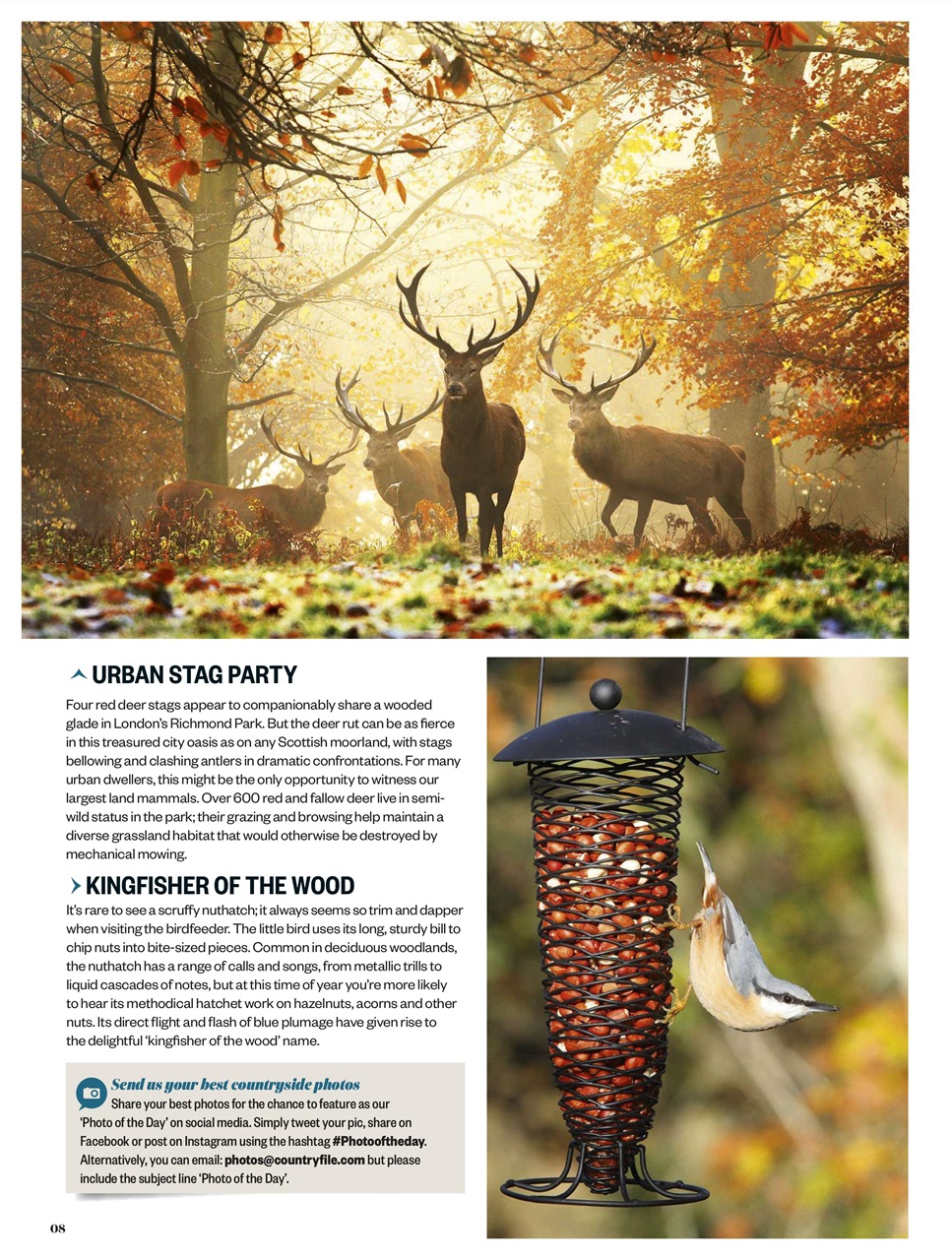 BBC Countryfile Magazine Preview Pages