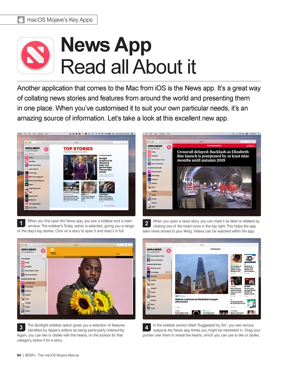 Mac + MacBook User Preview Pages