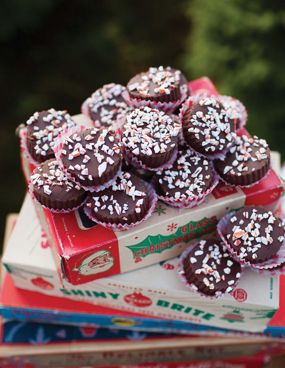 Where Women Cook Preview Pages