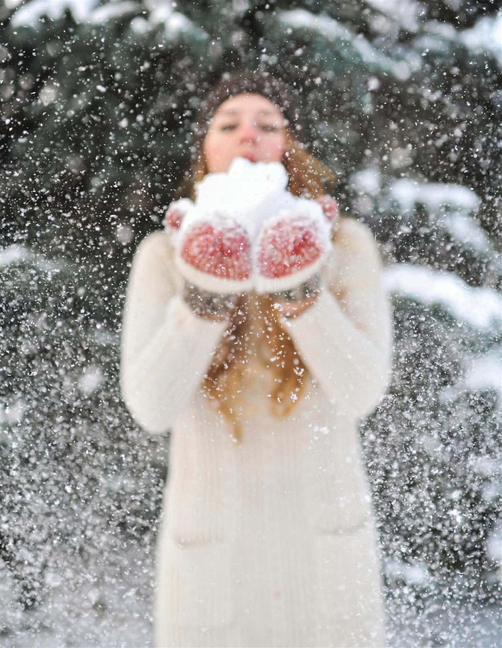 Where Women Cook Preview Pages