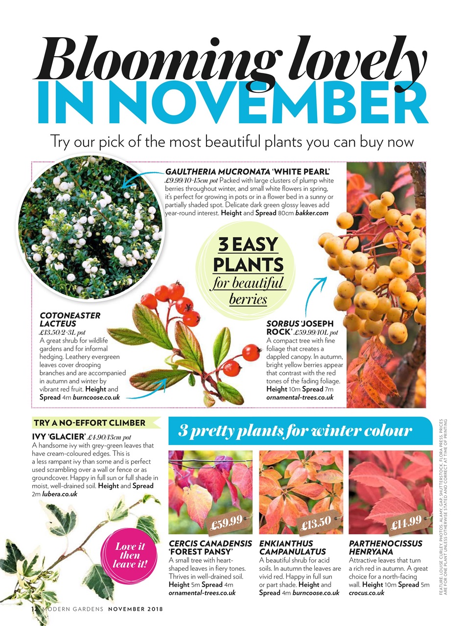 Modern Gardens Preview Pages