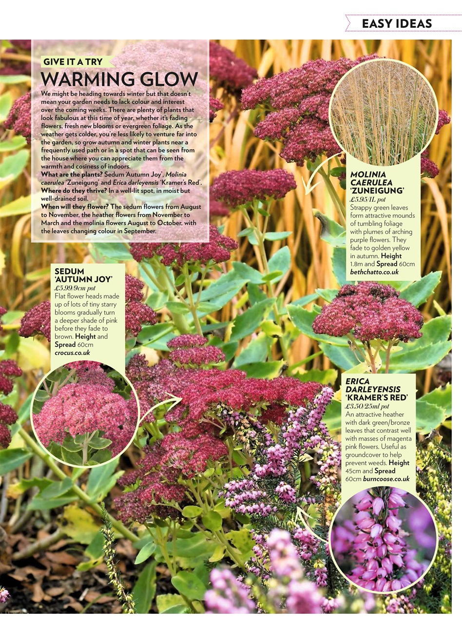 Modern Gardens Preview Pages
