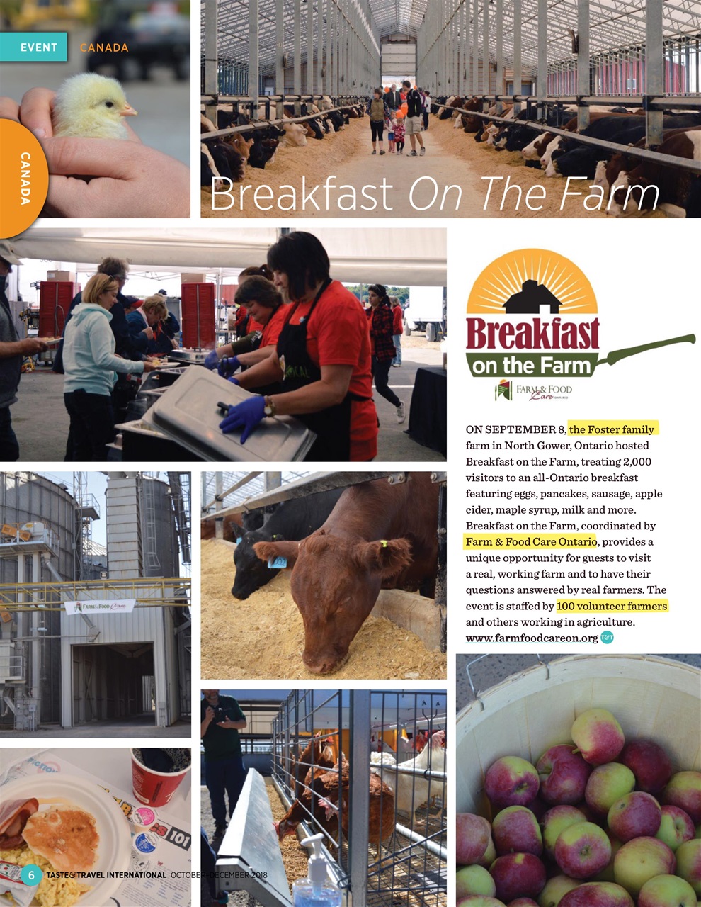 Taste & Travel International Preview Pages