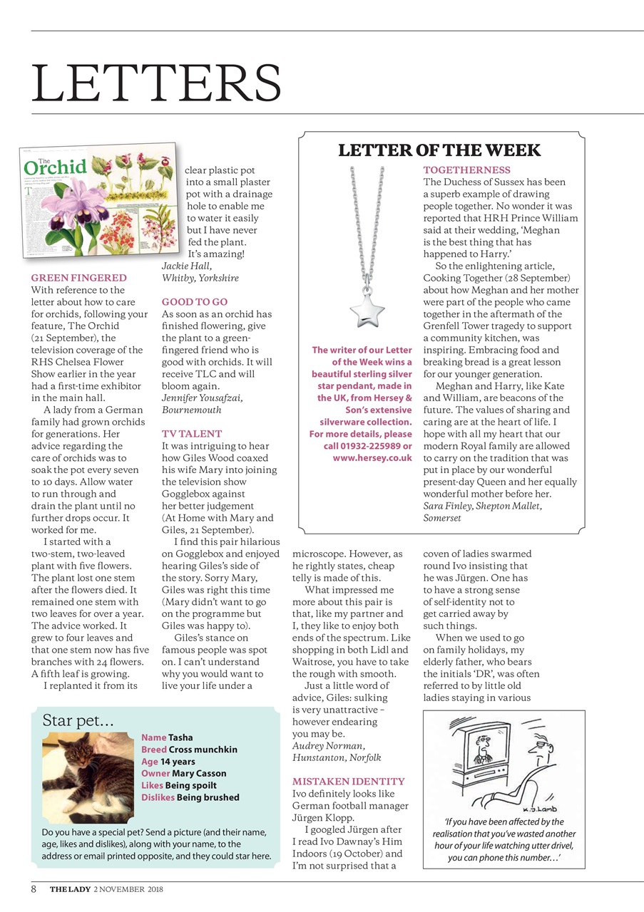 The Lady Preview Pages