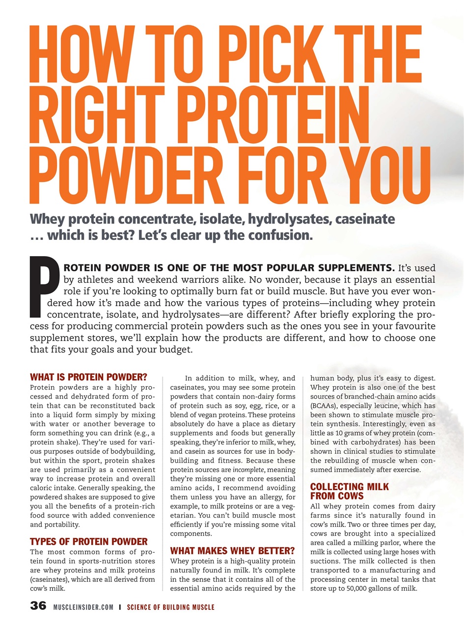Muscle Insider Magazine Preview Pages
