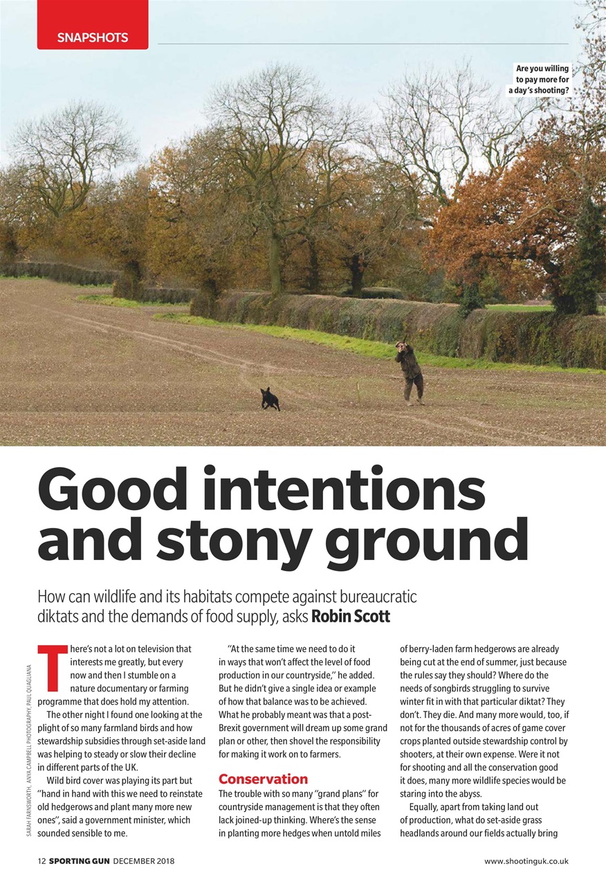 Sporting Gun Preview Pages