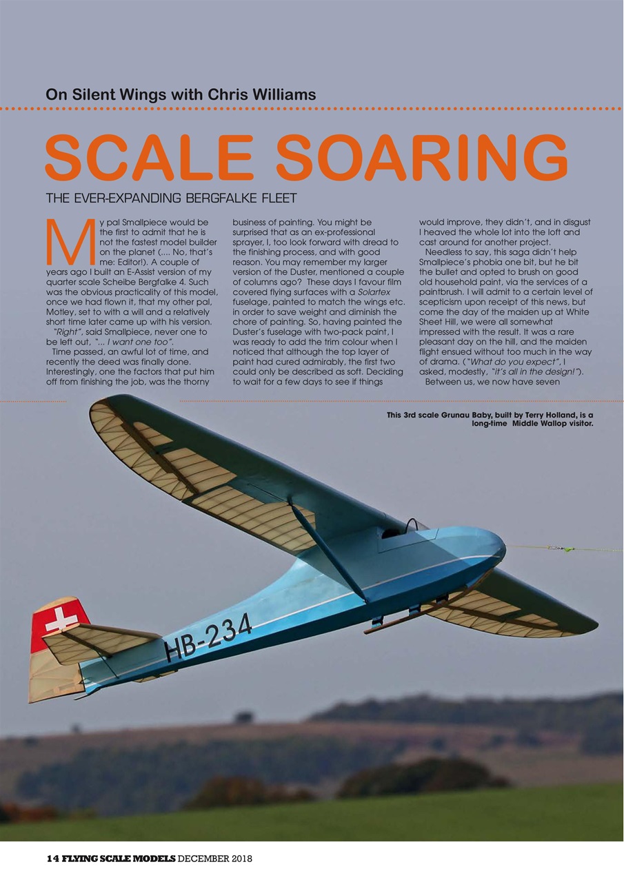 Radio Control Model Flyer Preview Pages