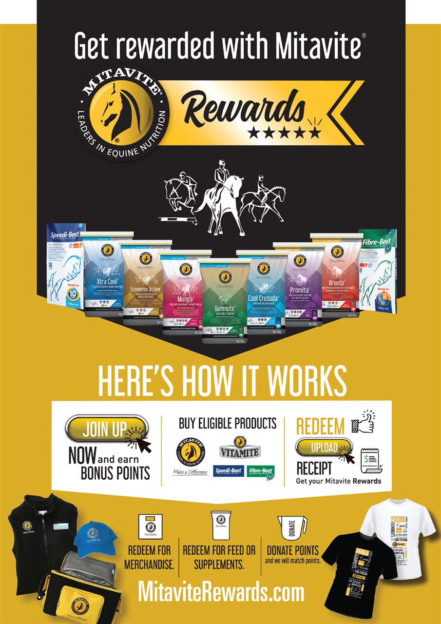 HorseWyse Magazine Preview Pages