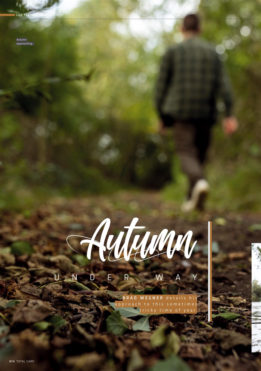 Total Carp Preview Pages