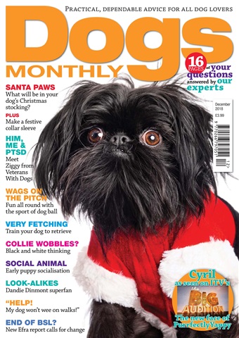 Dogs Monthly issue December 2018