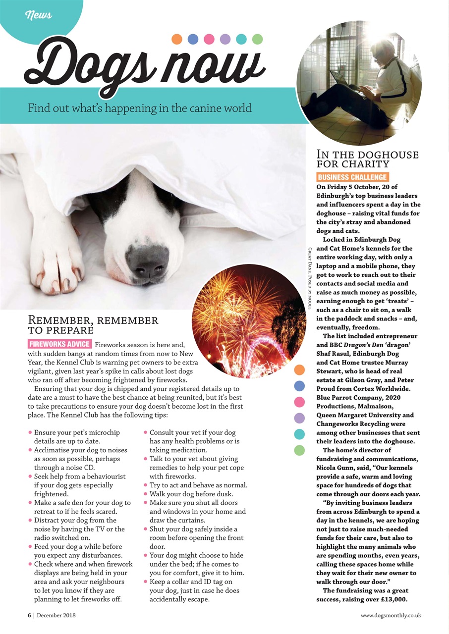 Dogs Monthly Preview Pages