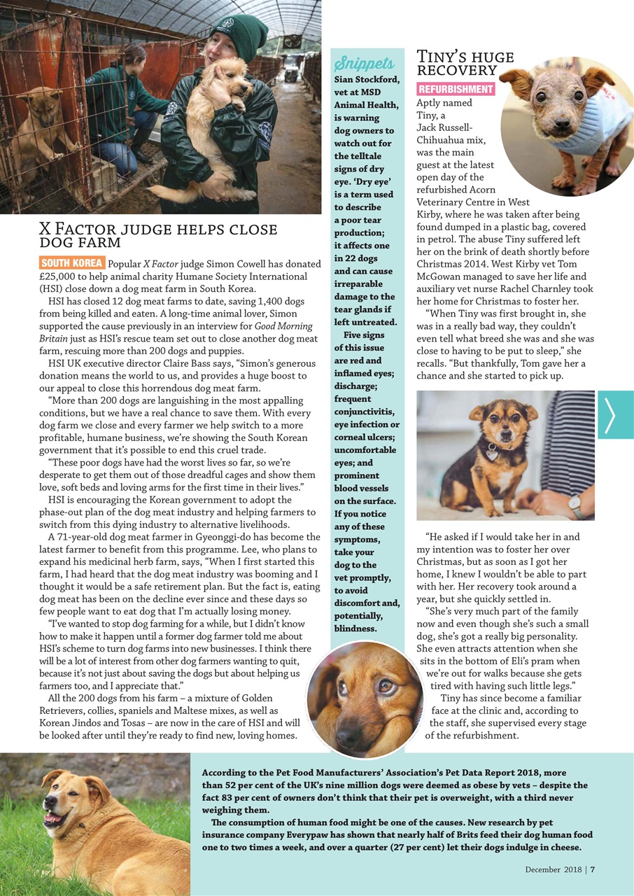 Dogs Monthly Preview Pages