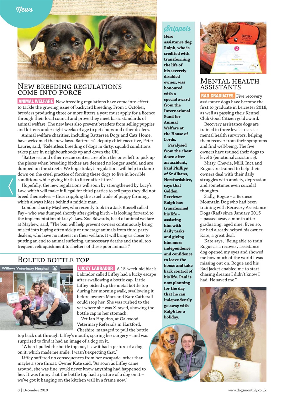 Dogs Monthly Preview Pages