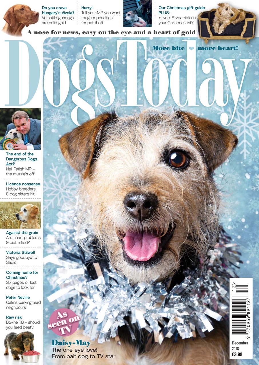 Dogs Today Magazine Preview Pages