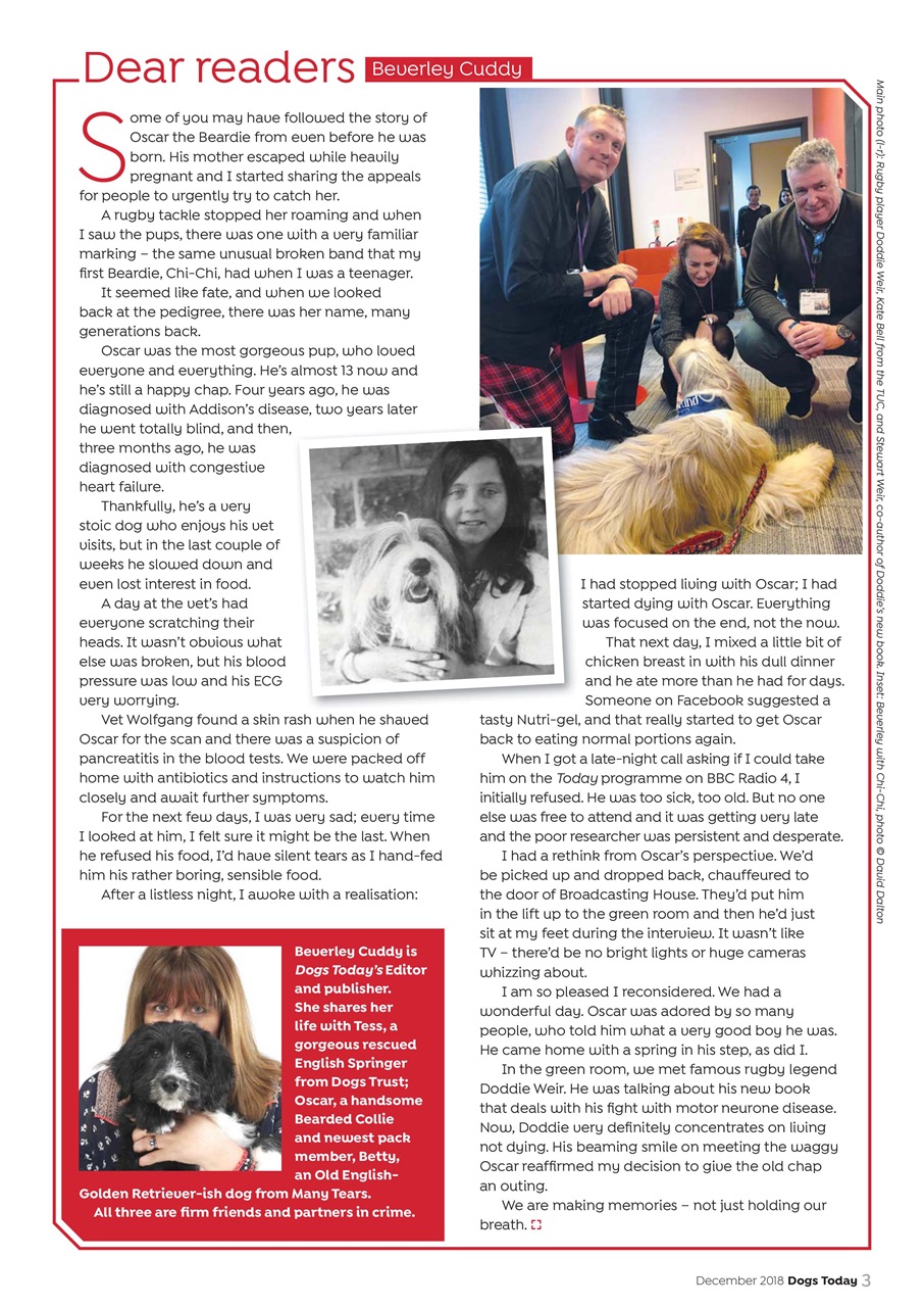 Dogs Today Magazine Preview Pages