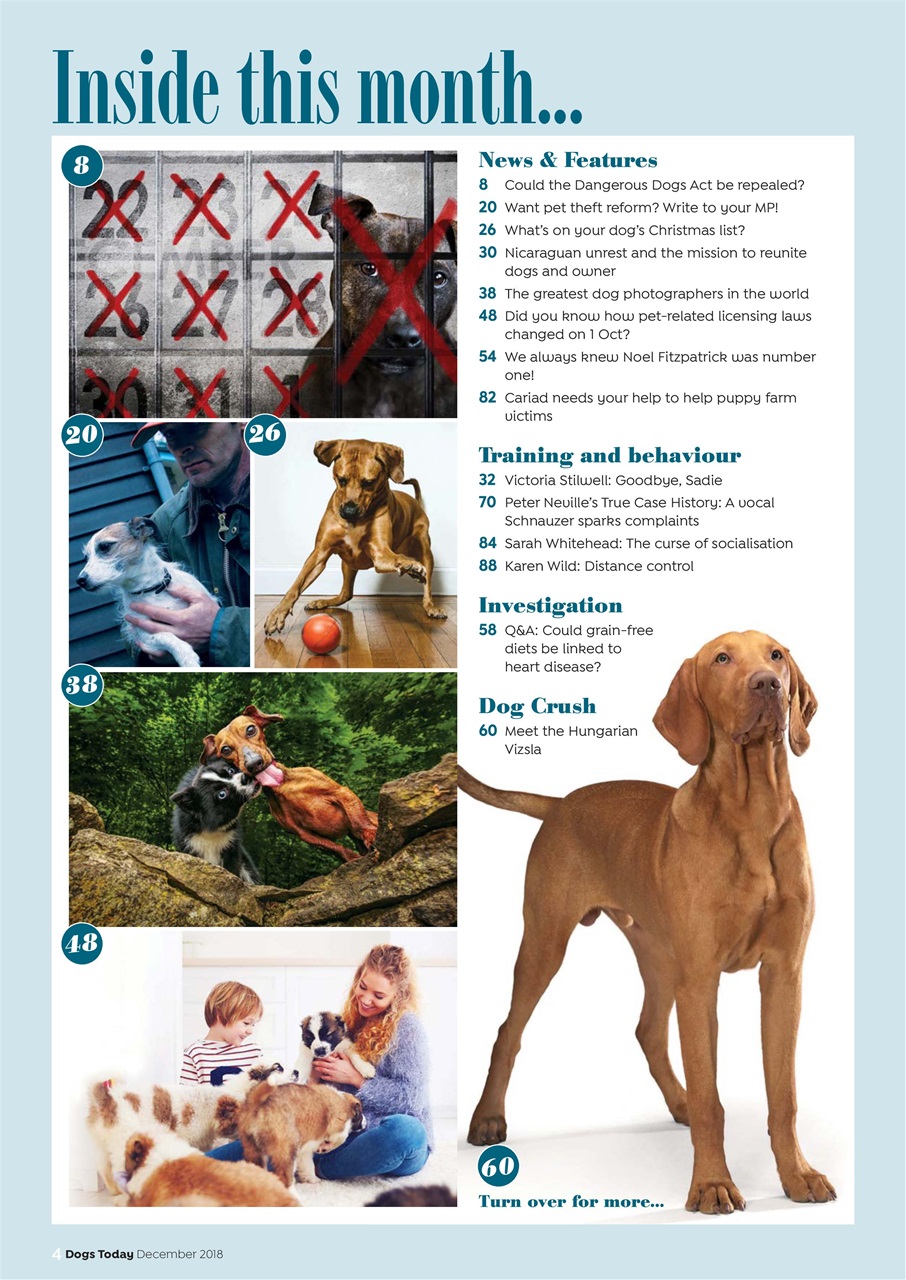 Dogs Today Magazine Preview Pages